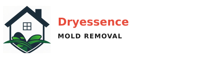 Dryessence Mold Removal